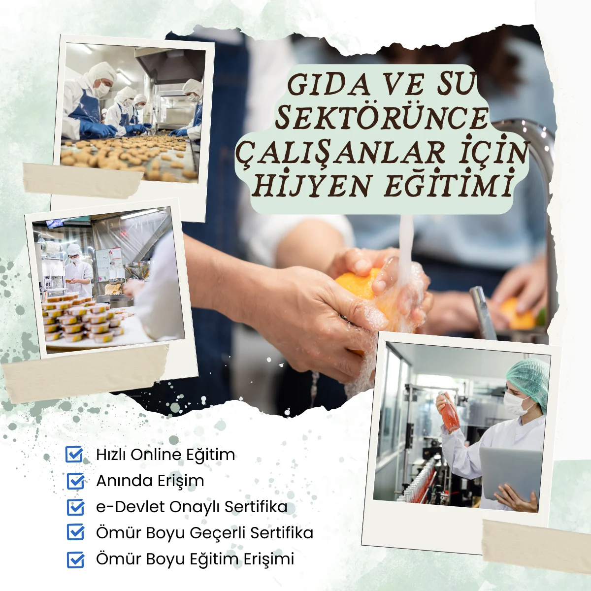 Gida ve Su Sektorunde Calisanlar icin Hijyen Egitimi